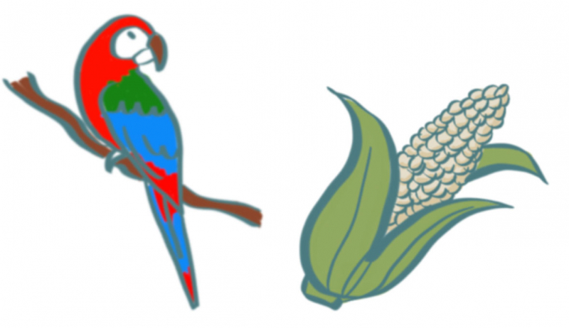 Figures 1 et 2. Détails des planches de facilitation graphique