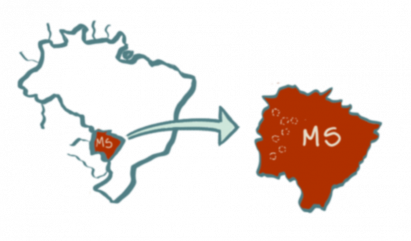 Figure 4. Détail de planches de facilitation graphique